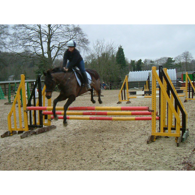Show Jumping Clinic