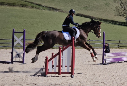 WDHC – Warren Barn Show Jumping – 6th April 2025
